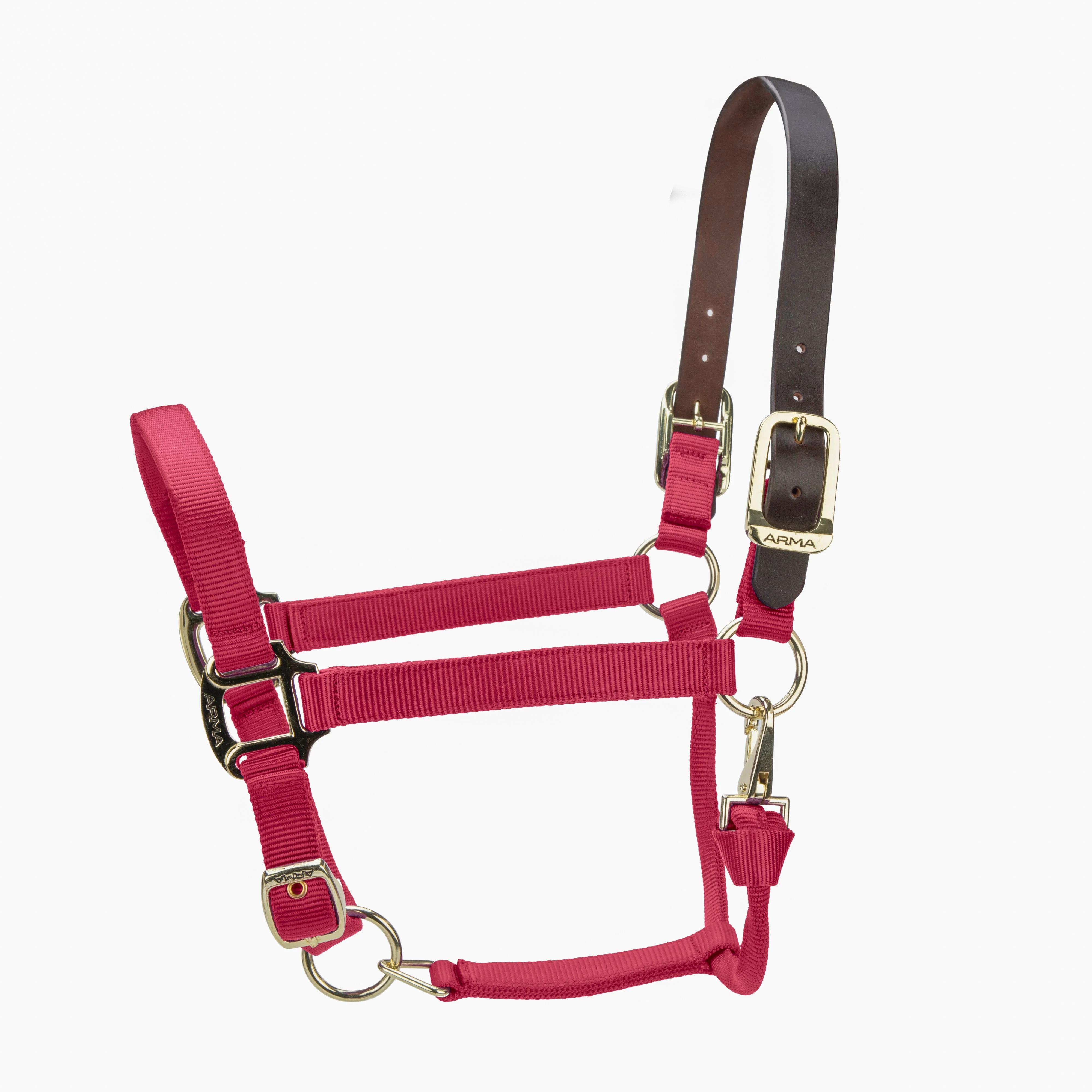 ARMA Premium Adjustable FieldSafe Headcollar - Image 7