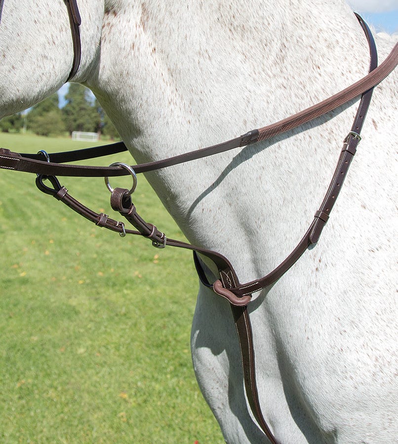 Avignon Running Martingale - Image 3