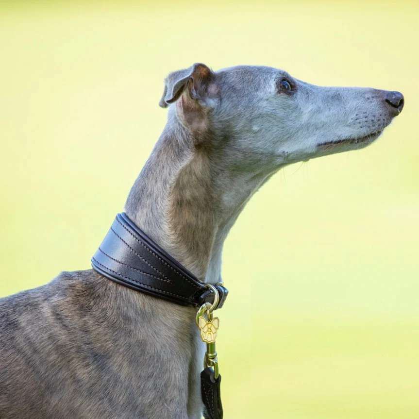 Digby & Fox Padded Greyhound Collar - Image 2