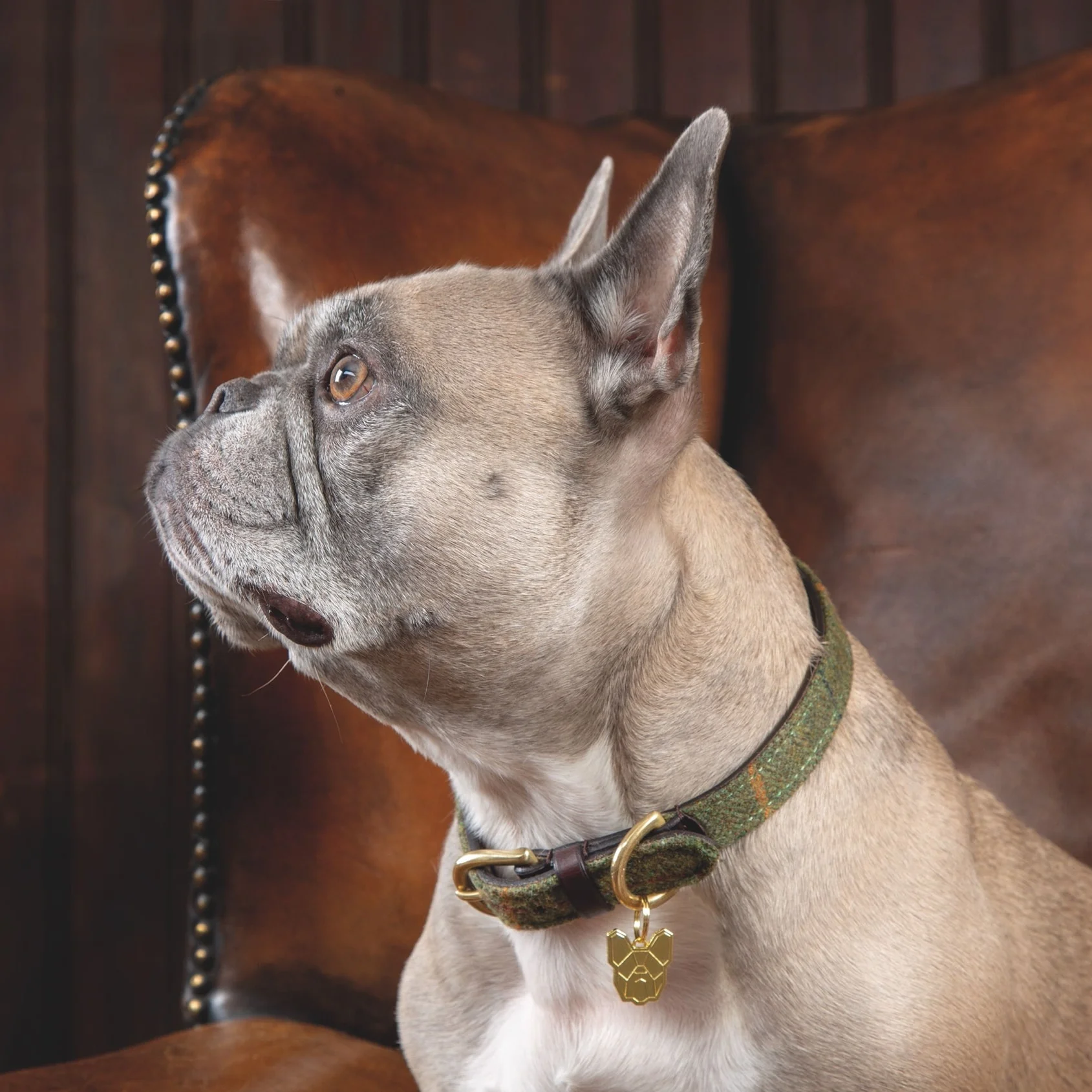 Digby & Fox Tweed Dog Collar - Image 2