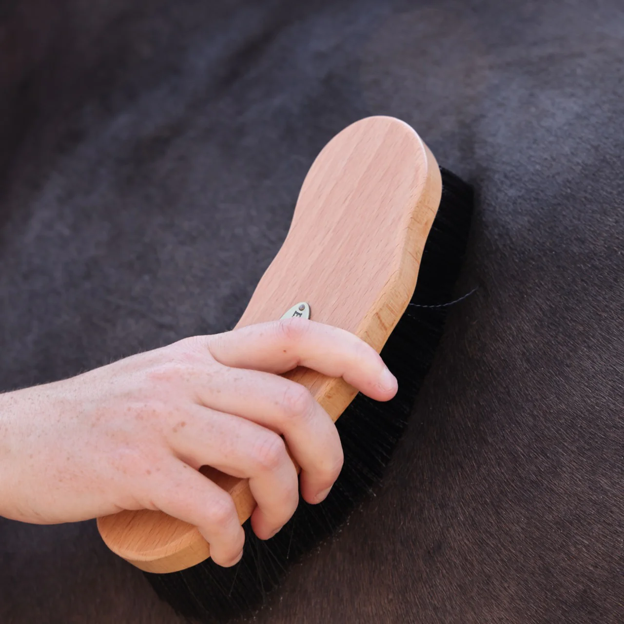 EZI-GROOM Premium Dandy Brush - Image 3