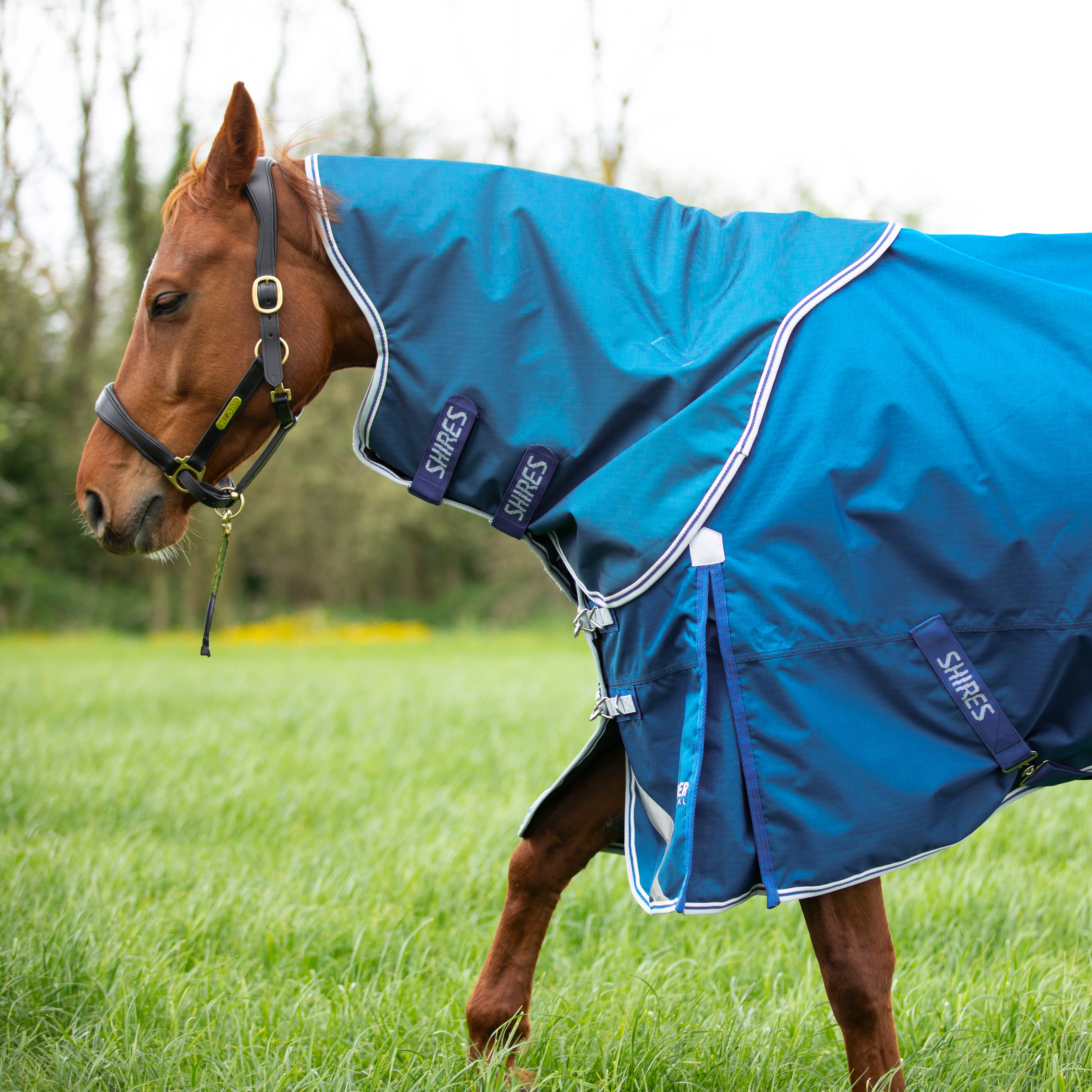 Shires Highlander Original 200 Turnout Rug & Neck Set - Image 5