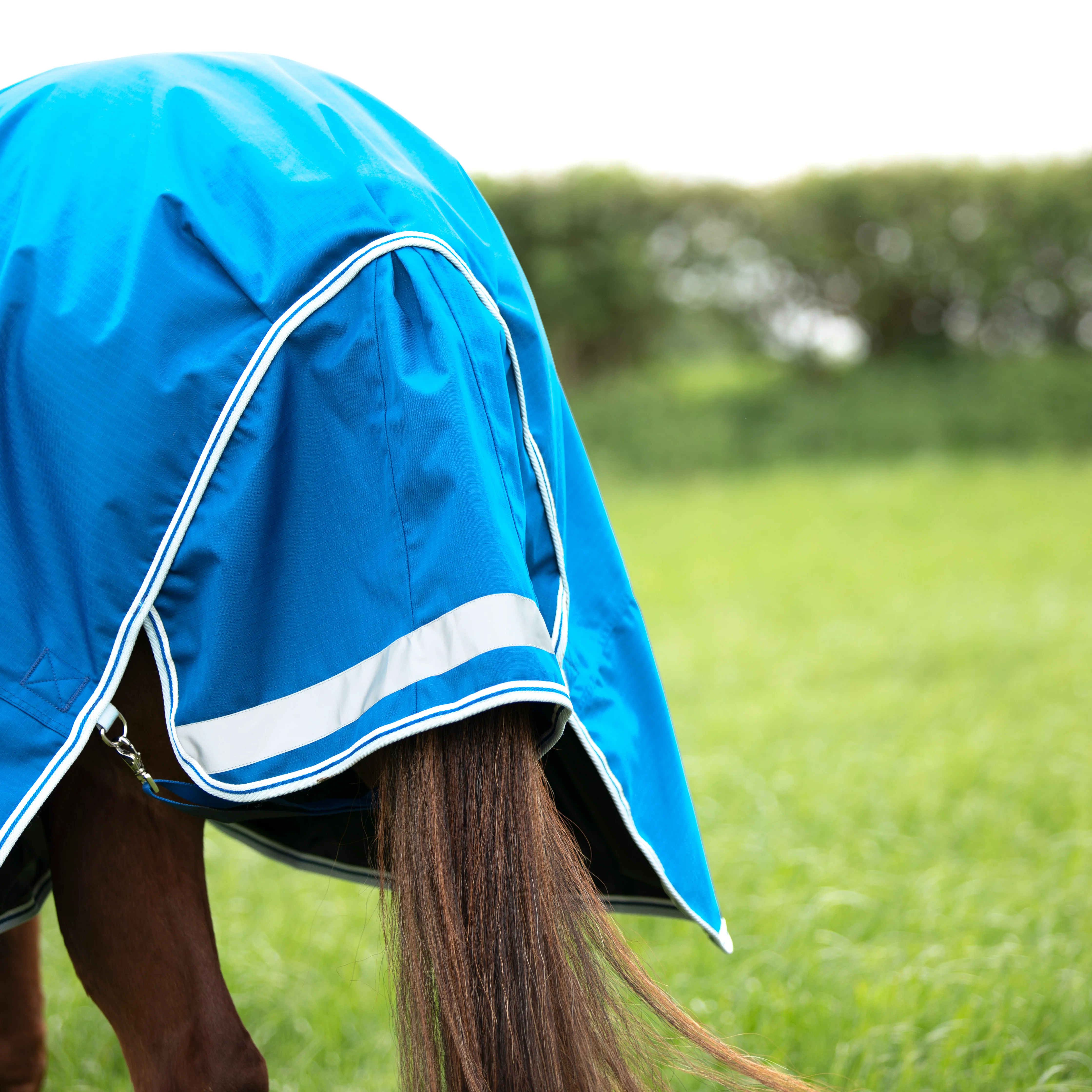 Shires Highlander Original 200 Turnout Rug & Neck Set - Image 6