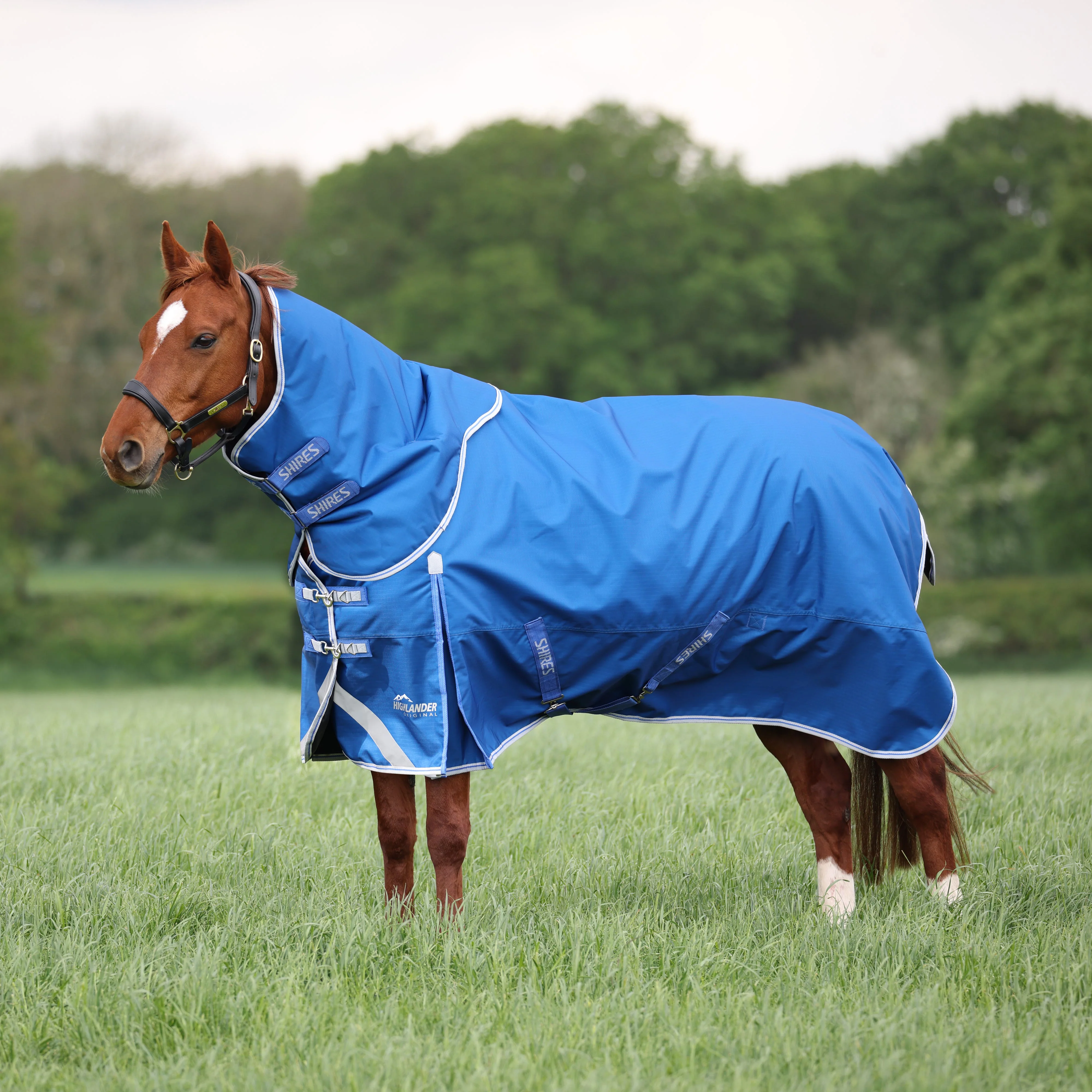Shires Highlander Original 200 Turnout Rug & Neck Set - Image 7
