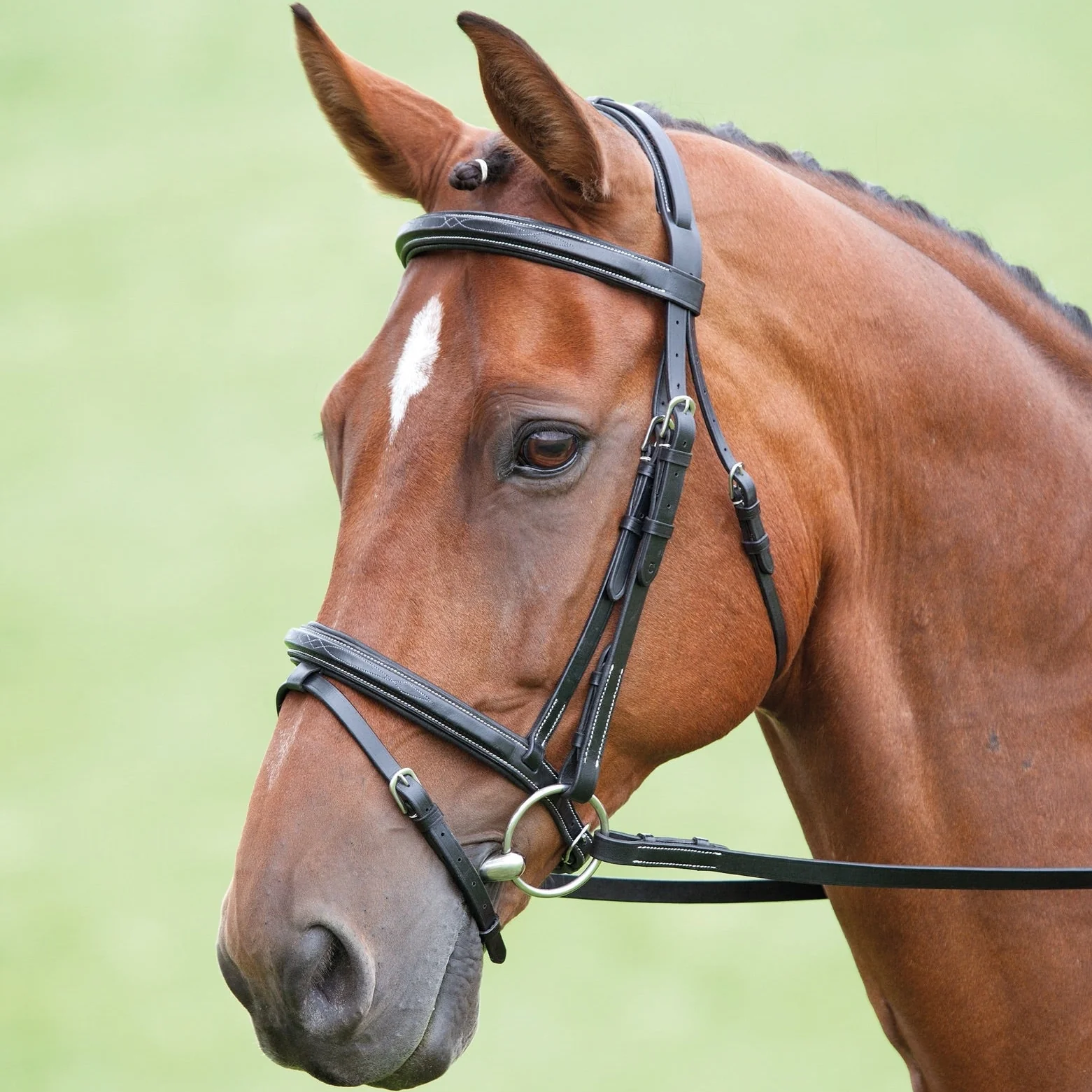 Salisbury Bodenham Bridle