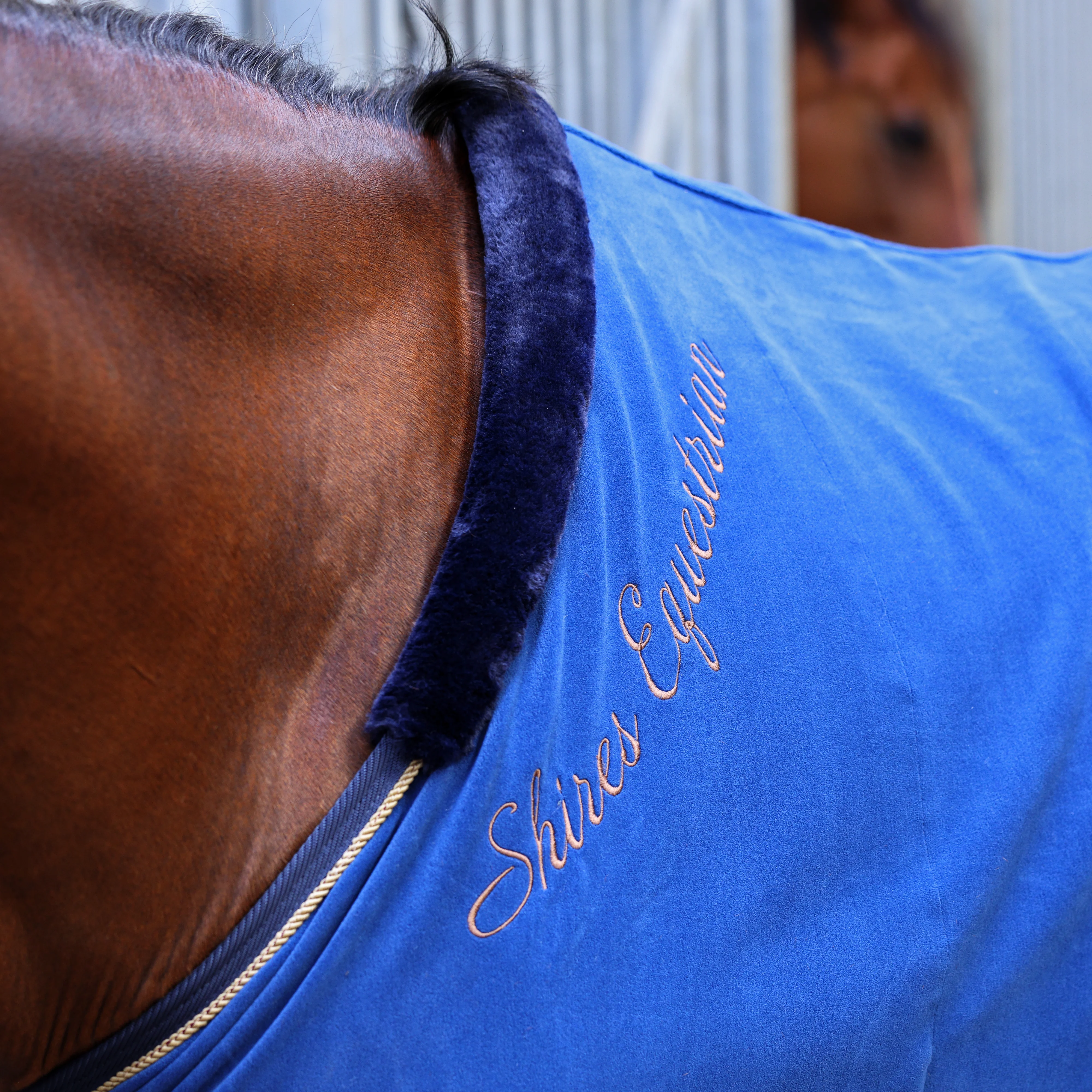 Shires Deluxe Fleece Show Rug - Image 5