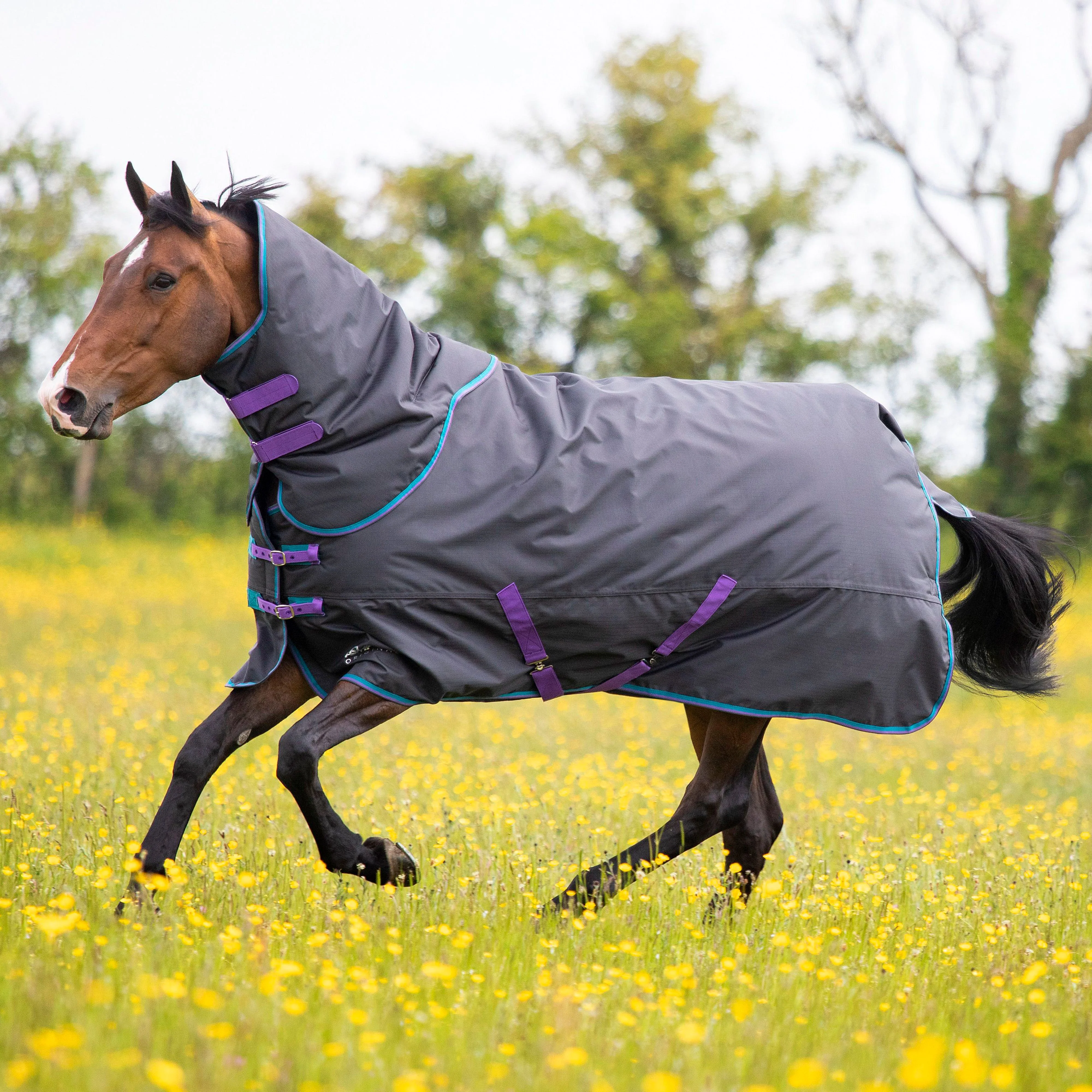 Tempest Original 300 Turnout Rug & Neck - Image 2
