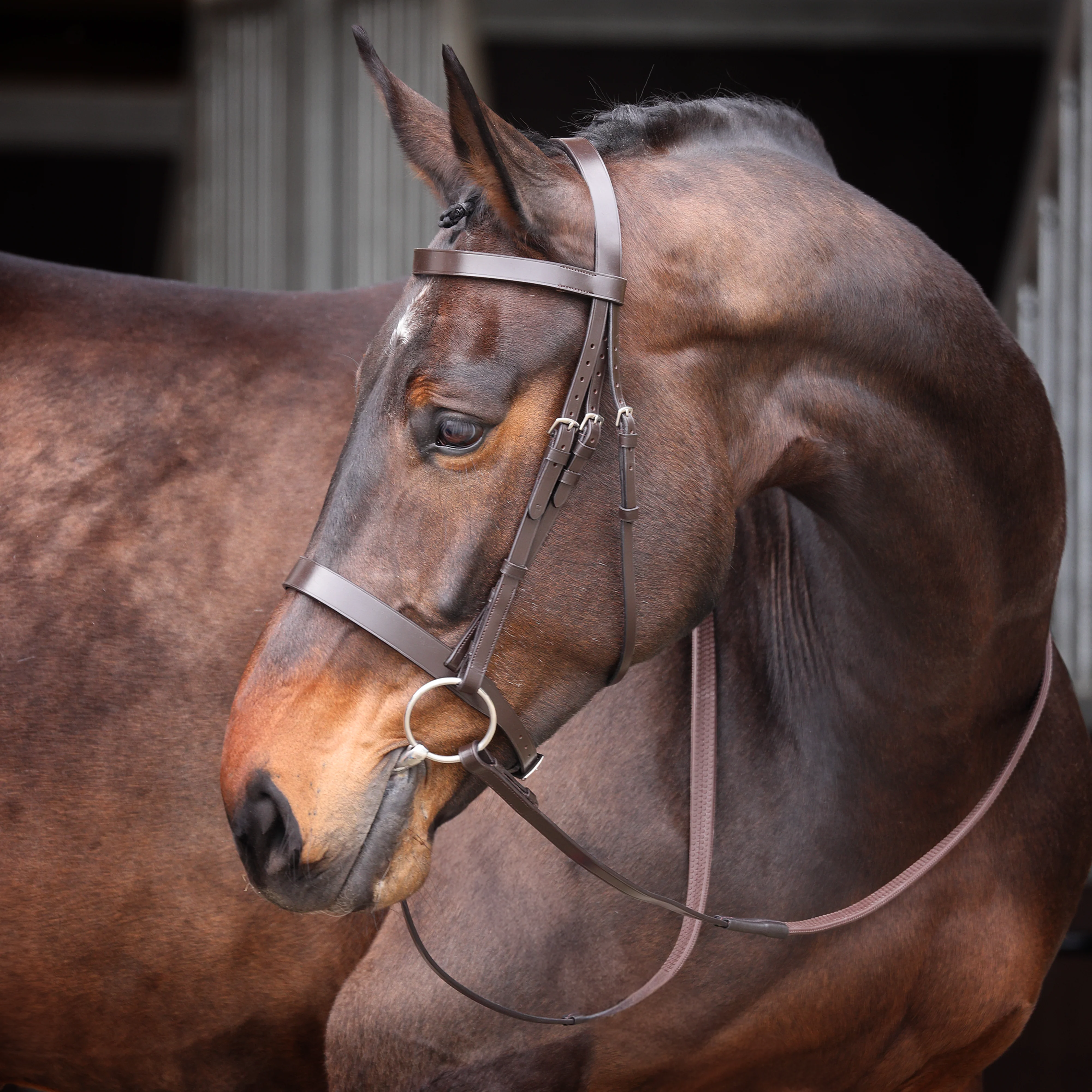 Velociti GARA Plain Bridle - Image 2