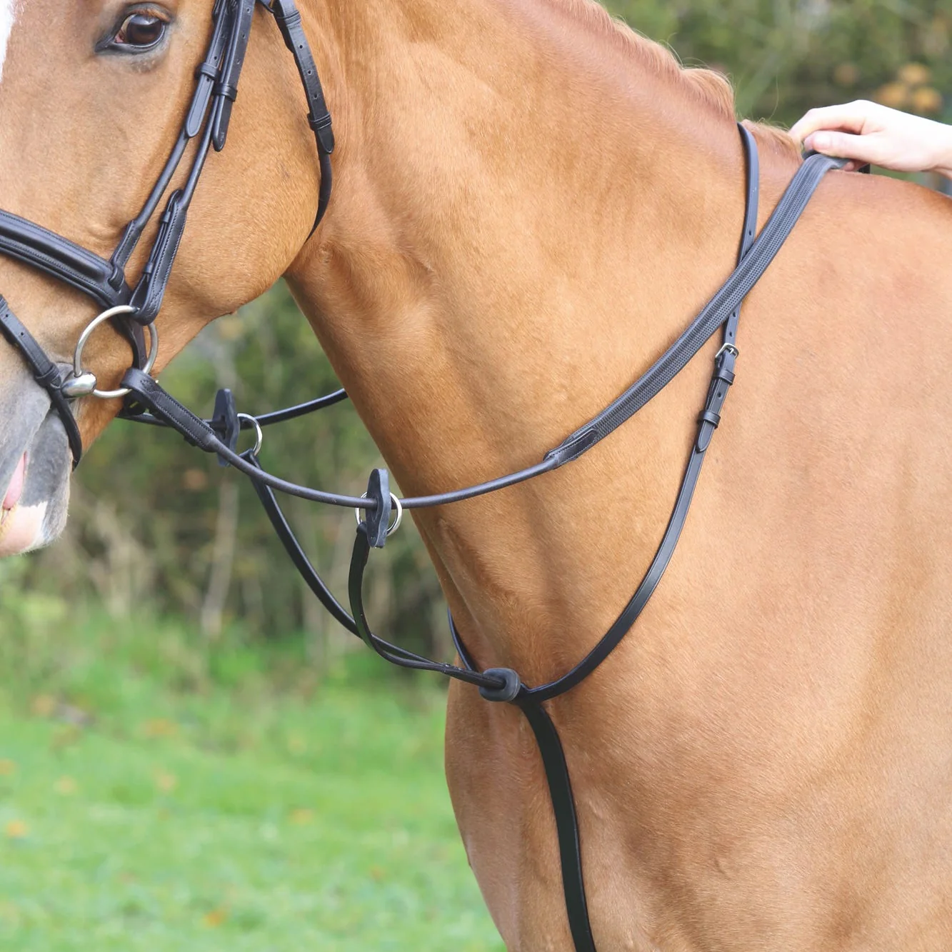Velociti GARA Running Martingale