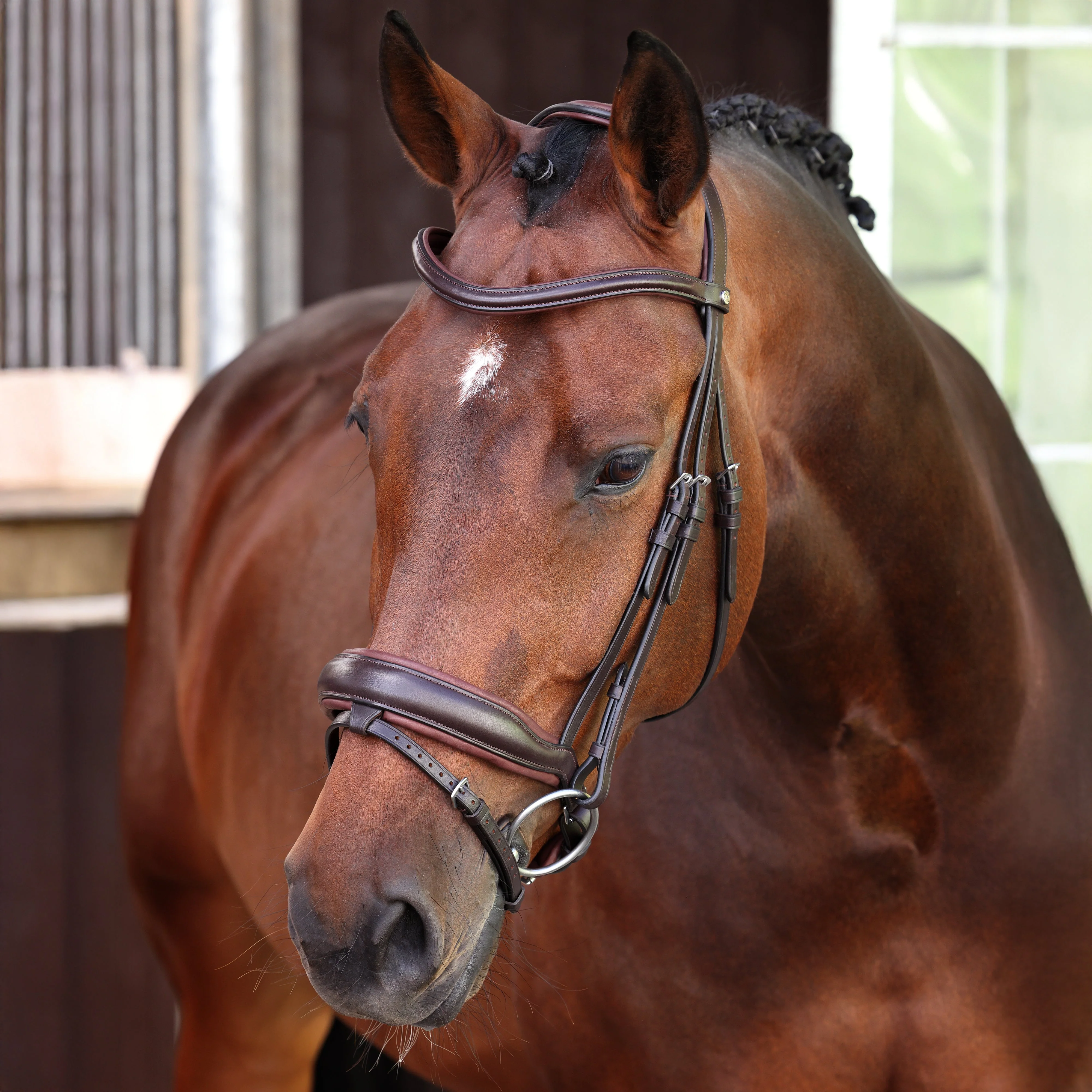 Velociti LUSSO Elite Dressage Flash Bridle - Image 2