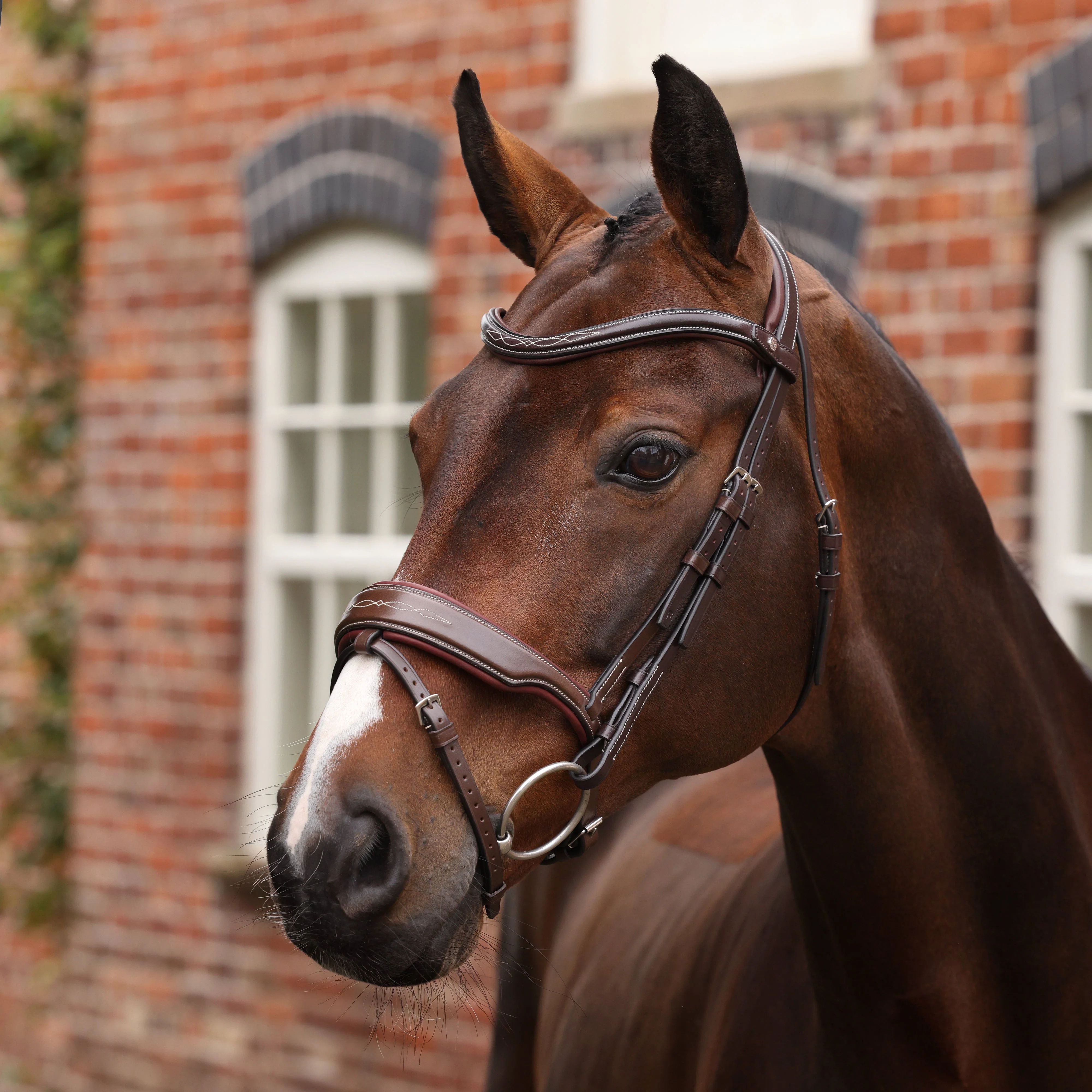 Velociti LUSSO Opus 180M Dressage Flash Bridle - Image 2