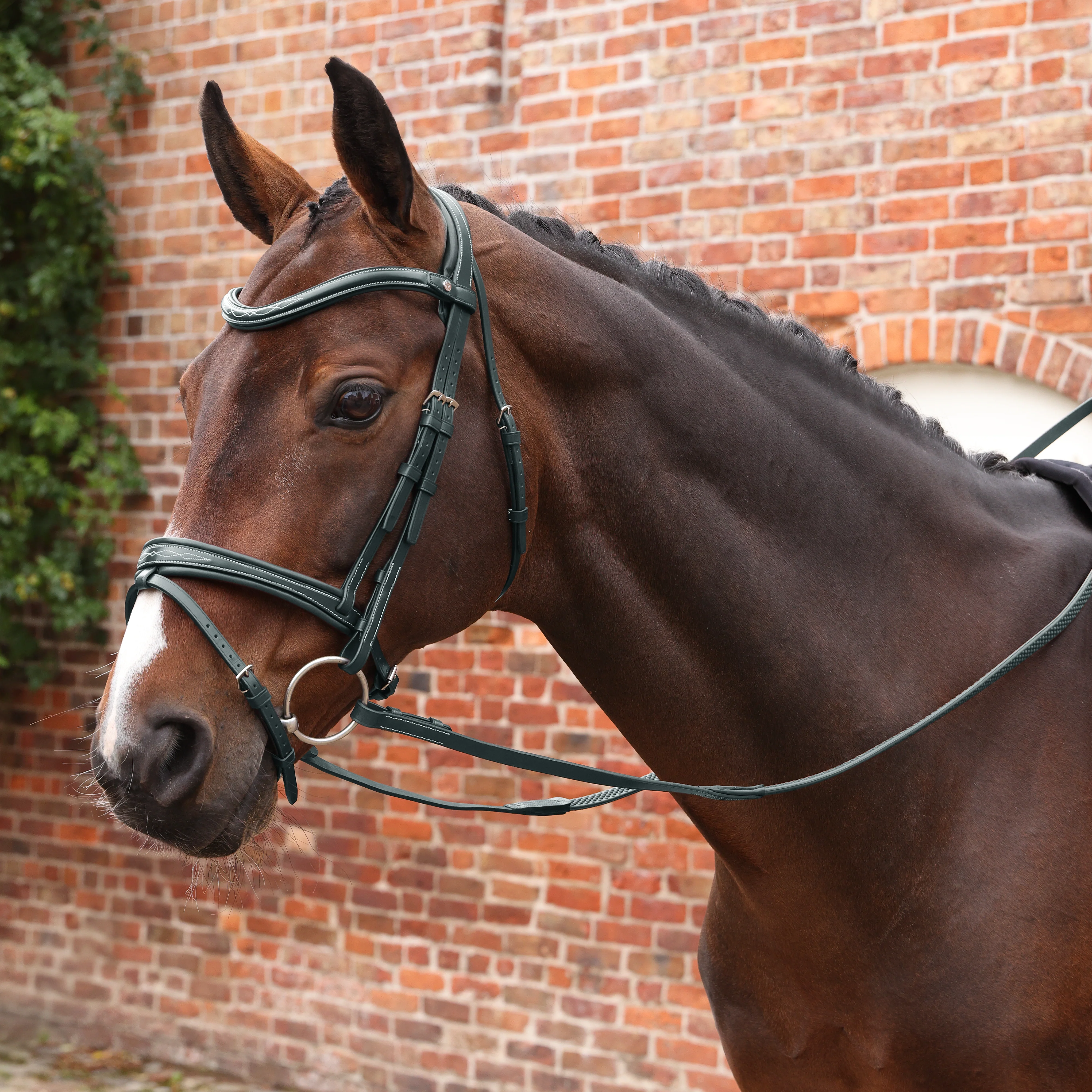 Velociti LUSSO Opus Pro SureGrip Reins