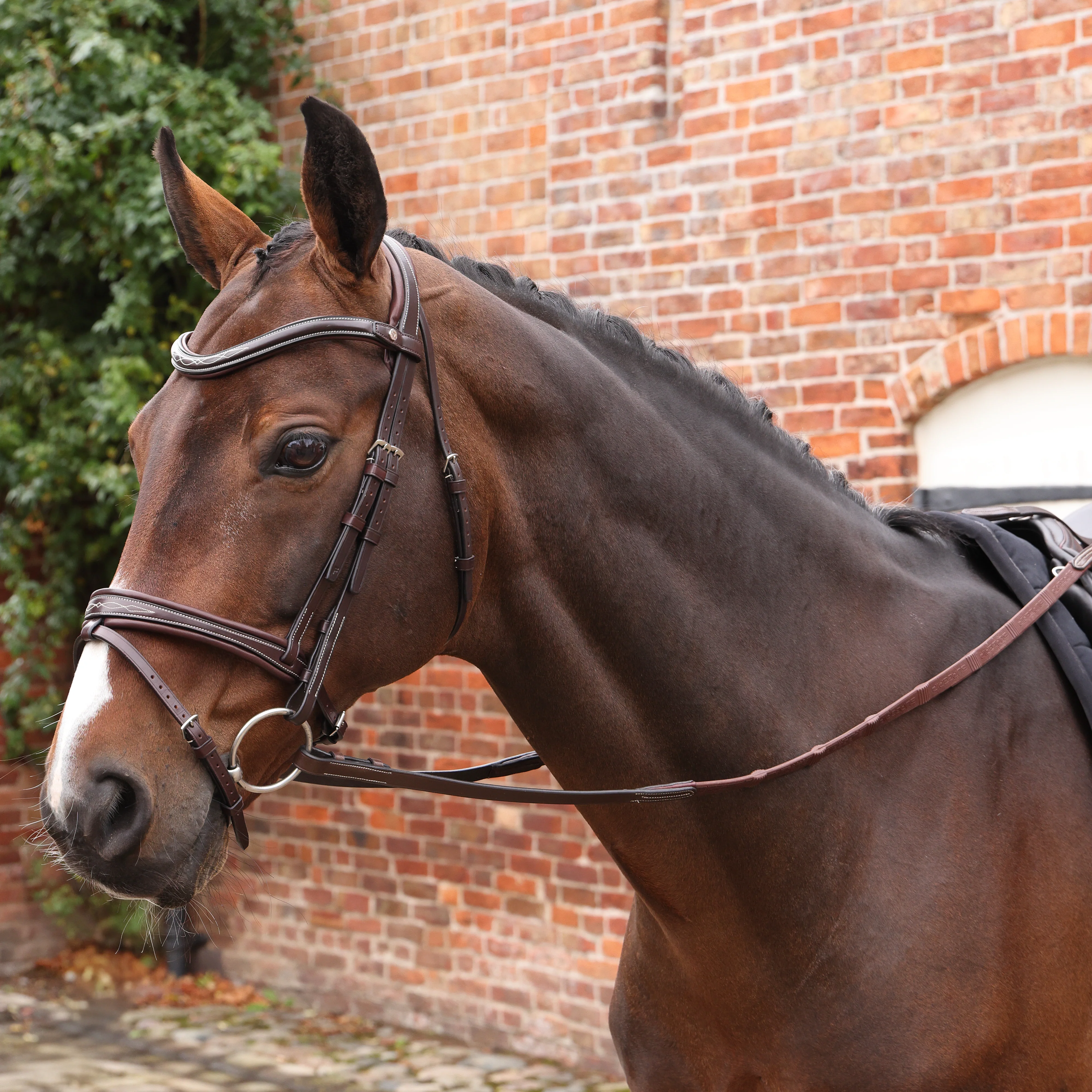 Velociti LUSSO Opus Pro SureGrip Reins - Image 2